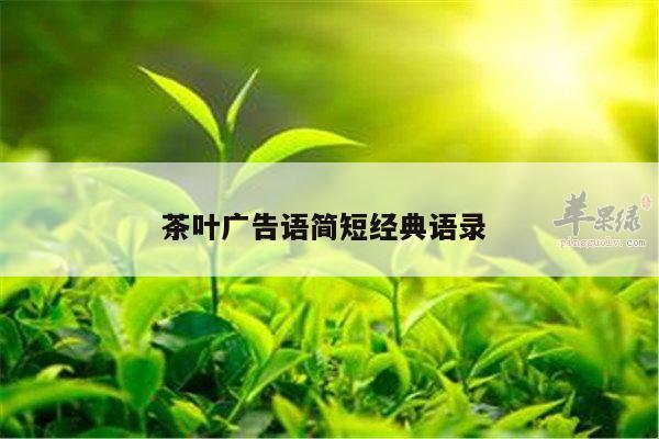 茶叶广告语简短经典语录 