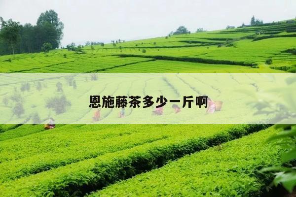 恩施藤茶多少一斤啊