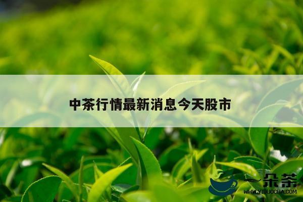 中茶行情最新消息今天股市 