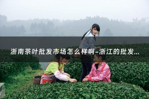 浙南茶叶批发市场怎么样啊-浙江的批发茶叶市场在那里？