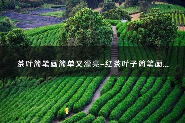 茶叶简笔画简单又漂亮-红茶叶子简笔画？