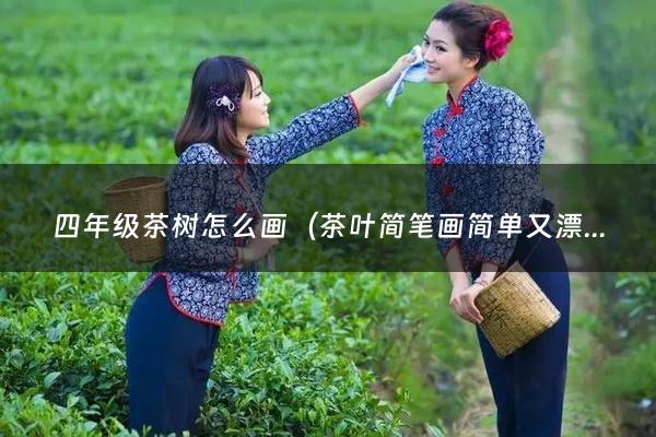 四年级茶树怎么画（茶叶简笔画简单又漂亮图片）