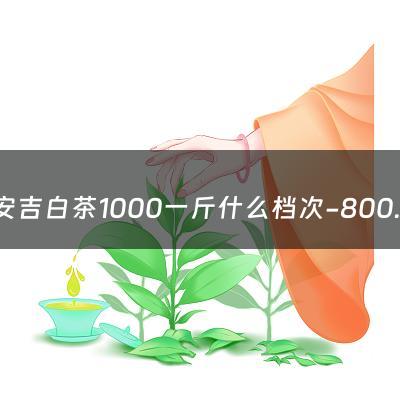 安吉白茶1000一斤什么档次-800元一斤的安吉白茶