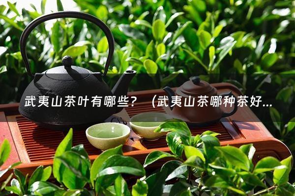 武夷山茶叶有哪些？（武夷山茶哪种茶好喝）