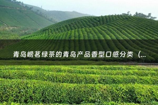 青岛崂茗绿茶的青岛产品香型口感分类（青岛出名的茶叶有哪些）