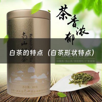 白茶的特点（白茶形状特点）