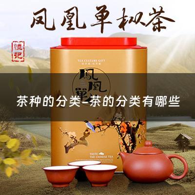 茶种的分类-茶的分类有哪些