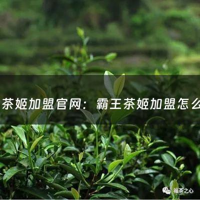 霸王茶姬加盟官网：霸王茶姬加盟怎么样(霸王茶姬加盟怎么样)