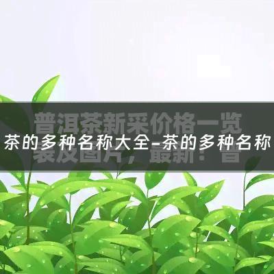 茶的多种名称大全-茶的多种名称