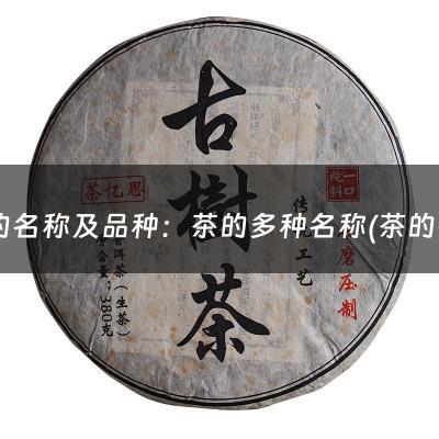 茶的名称及品种：茶的多种名称(茶的名字有哪些？)