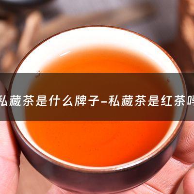 私藏茶是什么牌子-私藏茶是红茶吗