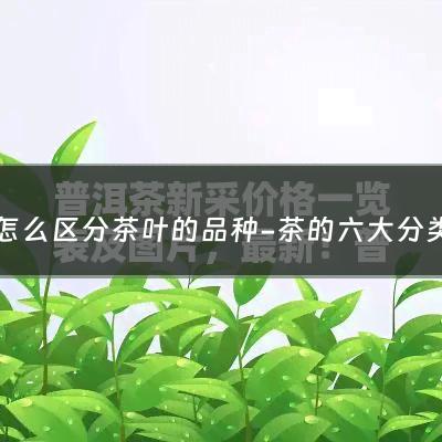 怎么区分茶叶的品种-茶的六大分类