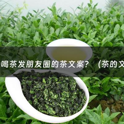 适合喝茶发朋友圈的茶文案？（茶的文案走心）