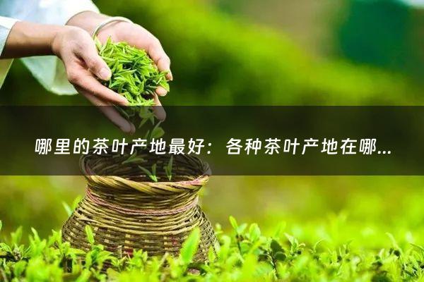 哪里的茶叶产地最好：各种茶叶产地在哪里最好(茶叶产地)