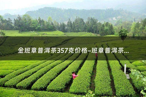 金班章普洱茶357克价格-班章普洱茶一斤多少钱？