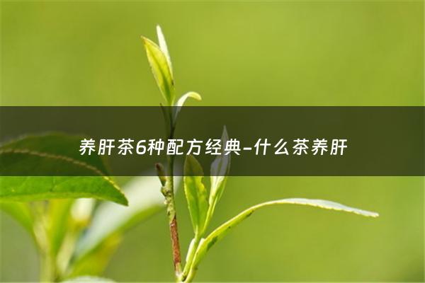 养肝茶6种配方经典-什么茶养肝