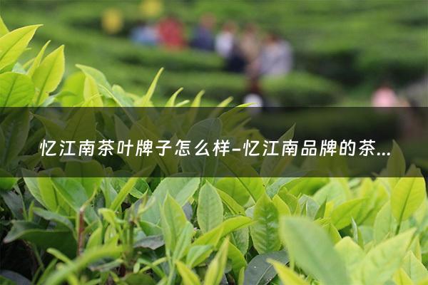 忆江南茶叶牌子怎么样-忆江南品牌的茶怎么样