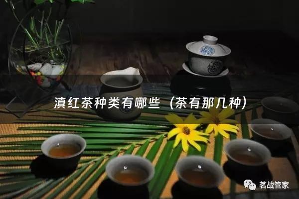 滇红茶种类有哪些（茶有那几种）