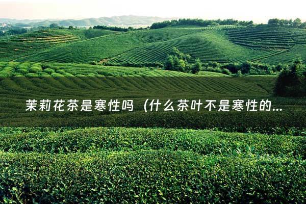 茉莉花茶是寒性吗（什么茶叶不是寒性的）