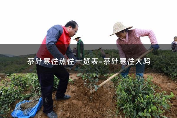 茶叶寒性热性一览表-茶叶寒性大吗