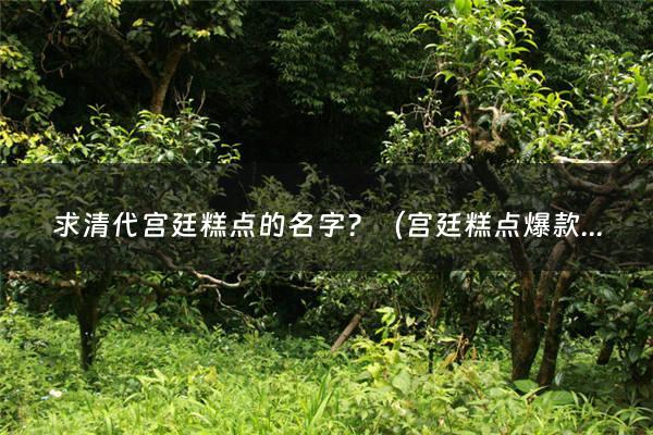 求清代宫廷糕点的名字？（宫廷糕点爆款吃的）