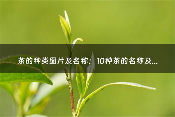 茶的种类图片及名称：10种茶的名称及特点(茶叶的种类及特点)