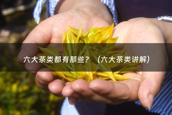 六大茶类都有那些？（六大茶类讲解）