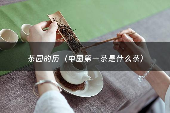 茶园的历（中国第一茶是什么茶）