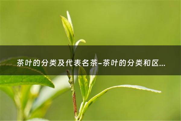 茶叶的分类及代表名茶-茶叶的分类和区别