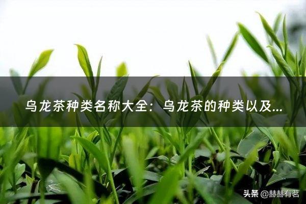 乌龙茶种类名称大全：乌龙茶的种类以及代表茶叶(乌龙茶属于什么茶？有哪些分类？)