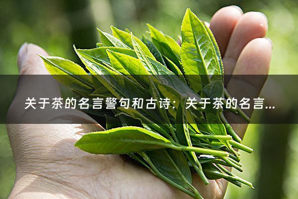 关于茶的名言警句和古诗：关于茶的名言警句(关于茶的诗句与名言)