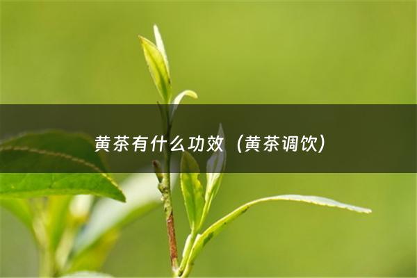 黄茶有什么功效（黄茶调饮）