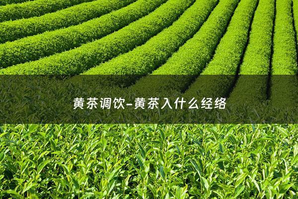 黄茶调饮-黄茶入什么经络