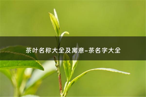 茶叶名称大全及寓意-茶名字大全