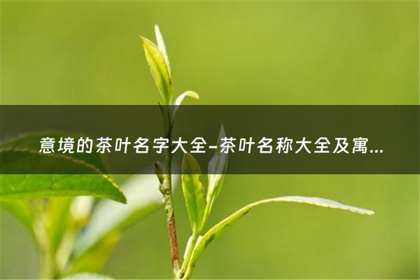 意境的茶叶名字大全-茶叶名称大全及寓意