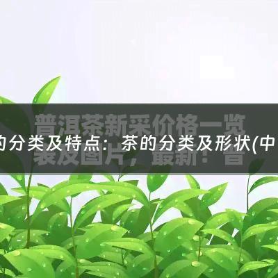 茶的分类及特点：茶的分类及形状(中国茶到底分几种?)