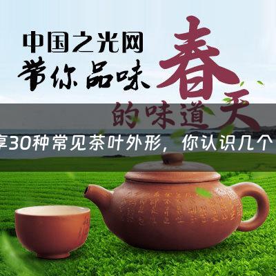 分享30种常见茶叶外形，你认识几个（茶的分类百度百科）