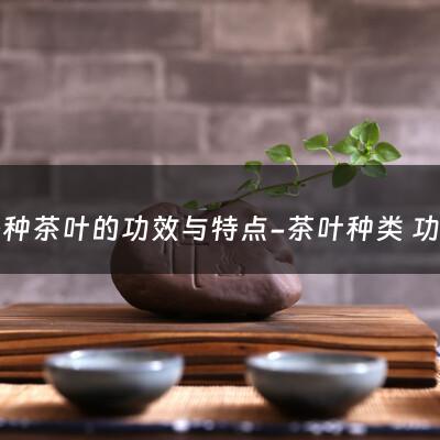 各种茶叶的功效与特点-茶叶种类 功效