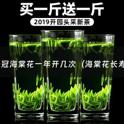 长寿冠海棠花一年开几次（海棠花长寿冠）