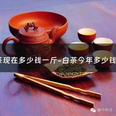 白茶现在多少钱一斤-白茶今年多少钱一斤价格