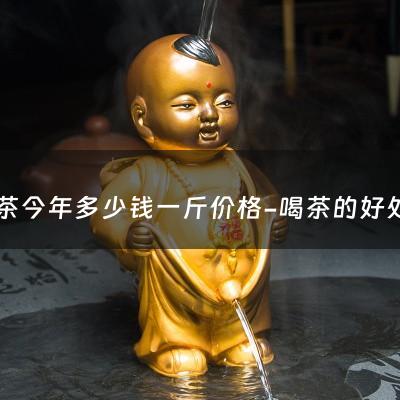 白茶今年多少钱一斤价格-喝茶的好处 安吉白茶1000一斤什么档次