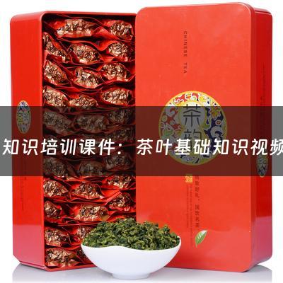 茶叶知识培训课件：茶叶基础知识视频讲座内容有哪些(茶叶的基本知识大全)