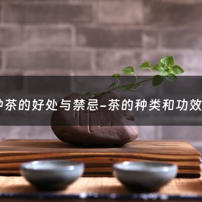 各种茶的好处与禁忌-茶的种类和功效大全