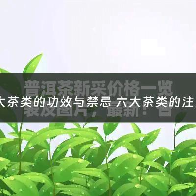 六大茶类的功效与禁忌 六大茶类的注意事项（各种茶的功效及适合的人群）