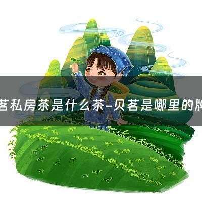 贝茗私房茶是什么茶-贝茗是哪里的牌子