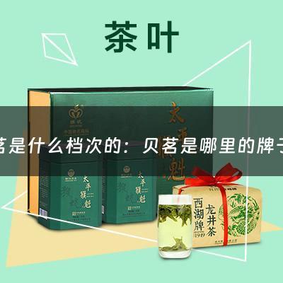 贝茗是什么档次的：贝茗是哪里的牌子(bareminerals什么值得买？bareminerals贝茗明星产品)