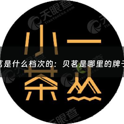 贝茗是什么档次的：贝茗是哪里的牌子(sk2和资生堂有什么关系?)