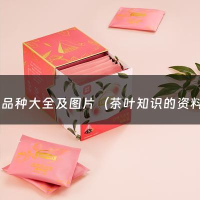 茶叶品种大全及图片（茶叶知识的资料大全）