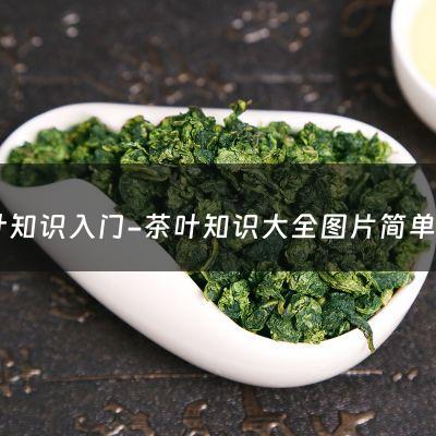 茶叶知识入门-茶叶知识大全图片简单易学