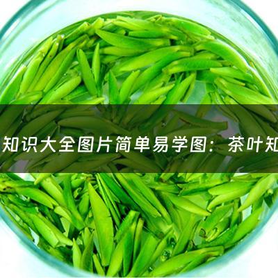 茶叶知识大全图片简单易学图：茶叶知识大全图片简单易学(普洱茶简单介绍 普洱茶知识大全)